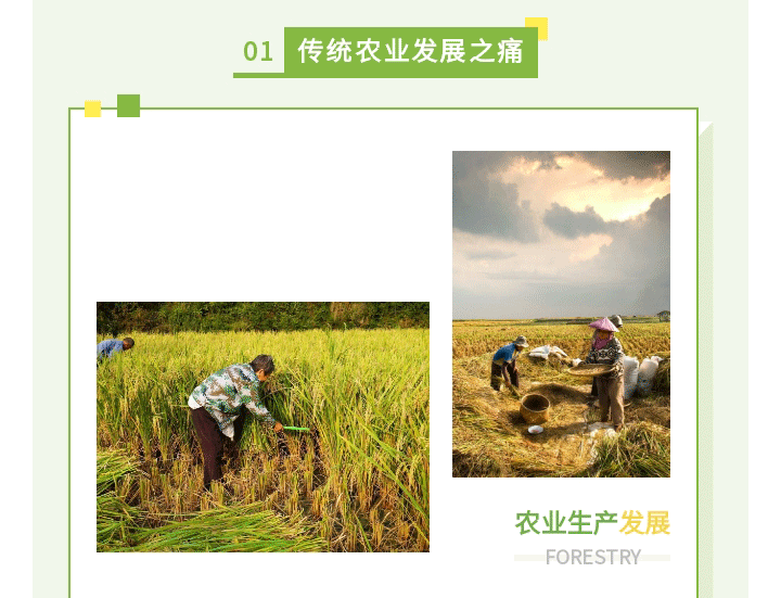 现代农业_04.gif