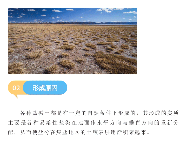 盐碱地_02.gif