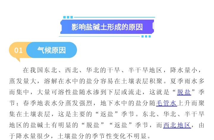 盐碱地_03.gif