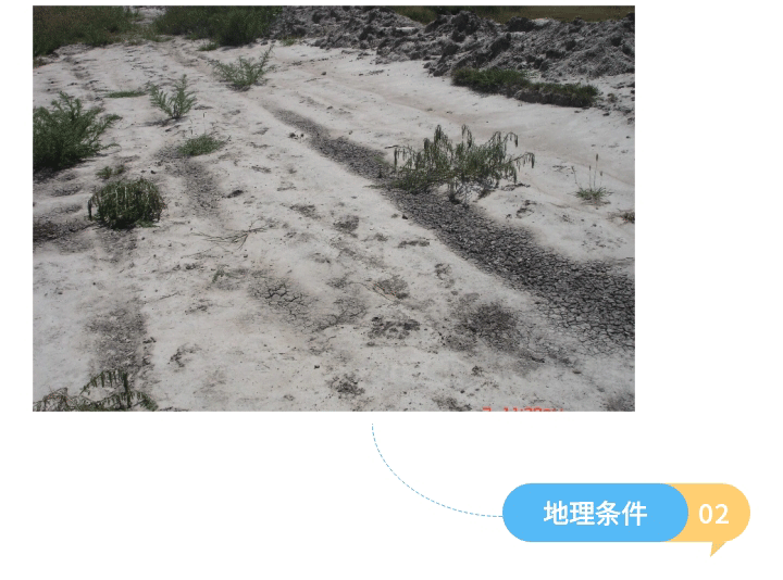 盐碱地_04.gif